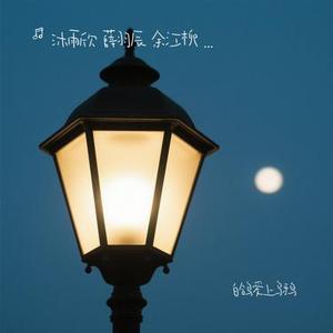 白鸽爱上乌鸦