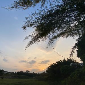 可不可以——片段（Cover张紫豪）