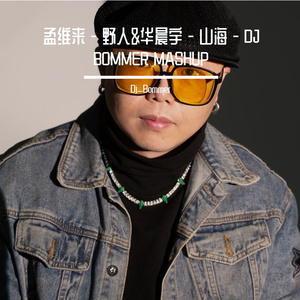 孟维来 - 野人&华晨宇 - 山海 - （DJ BOMMER MASHUP）