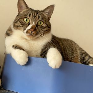 时间在听我祷告