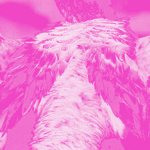 Unlikely to be heard