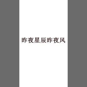 昨夜星辰昨夜风