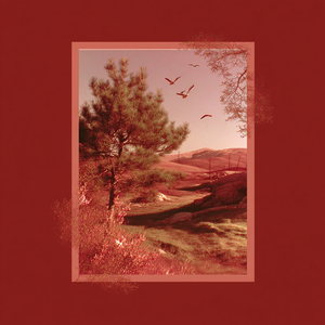 붙잡지 못한 마음