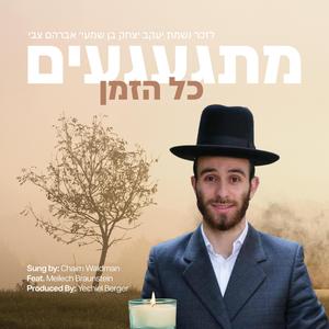 Misgagim Kol Hazman (feat. Meilech Braunstein)