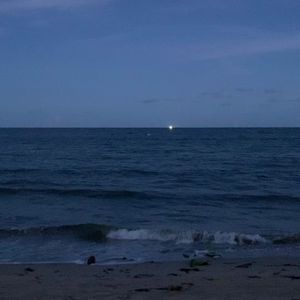 白日梦想家（prod.DIVINE MUSIC)