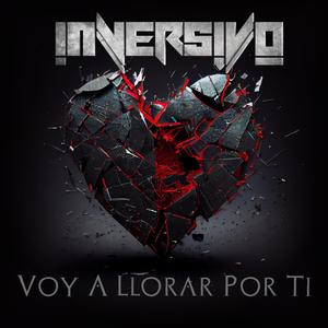 Voy A Llorar Por Ti