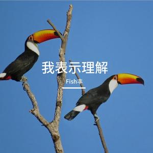 我表示理解