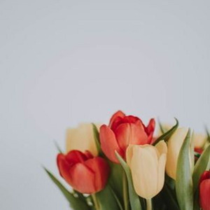 Boy Friend (Sped up)