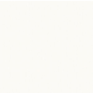 הכושים האלו הם כלכך מתוקים