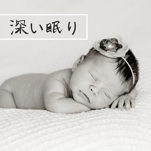 ニイハウ島の朝