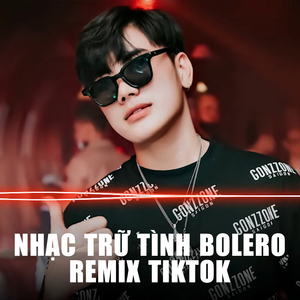 Chuyện Hoa Sim (DN TEAM REMIX)