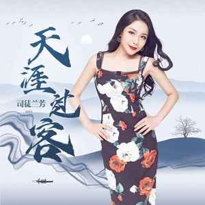 天涯过客 (DJ小鸟儿版)