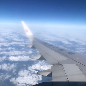 花开的瞬间你有没有想过我