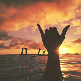 「欧美」节奏翩翩起舞 奏响夏日乐章