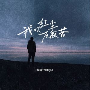 我叹红尘万般苦 (DJ九零版伴奏)