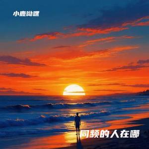 同频的人在哪
