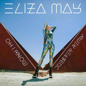 Oh I Know (Dubstep Remix)