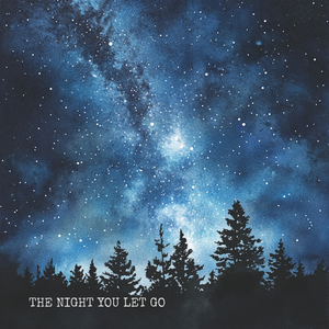 The Night You Let Go