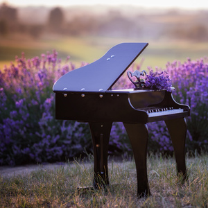 安らぎの空間に身をまかせて