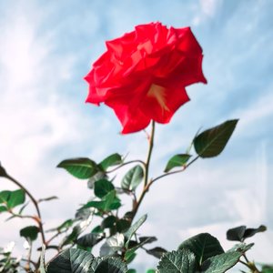 春天从这里走过