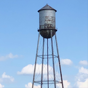 Georgia's Got Me Calling