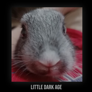 little dark age (little dark age)