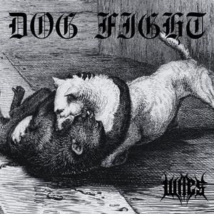 Dog Fight
