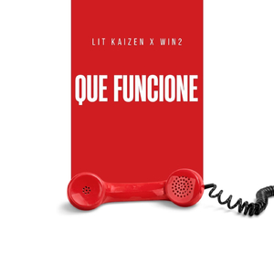 QUE FUNCIONE