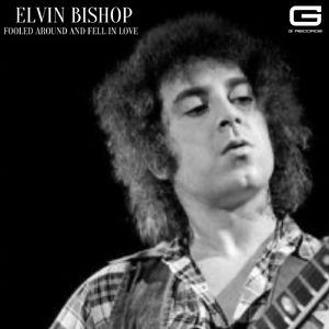 Fooled around and fell in love