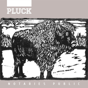 Pluck