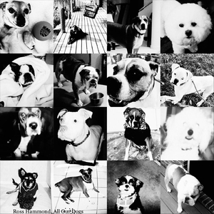 All Our Dogs (Reprise)