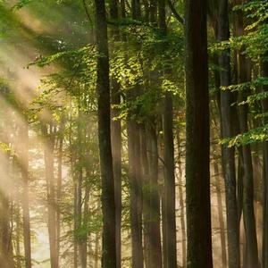 在雨中断线的乐章