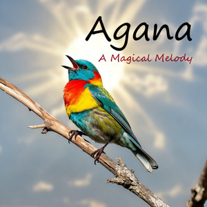 A Magical Melody