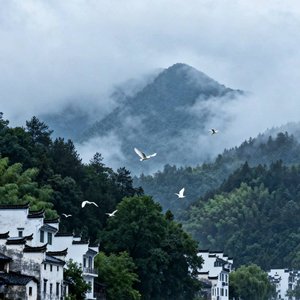 千山过尽我续长青