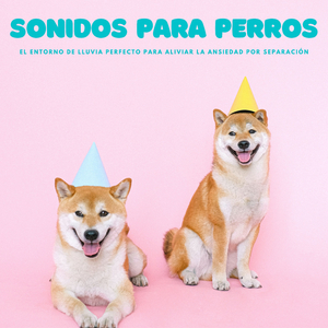 Tiempos Serenos Para Los Perros