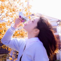 留下岁月在风中吟唱灵魂的安放