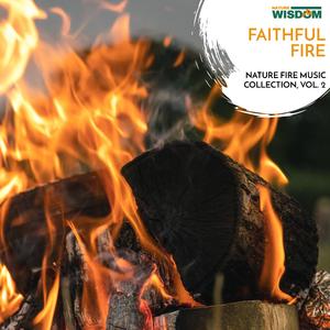 Cinematic Summer Night Fire