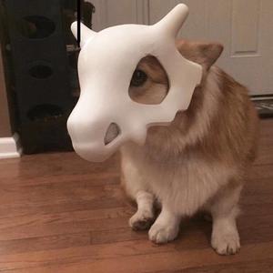 和我接吻（翻自 Rain梁坤）（翻自 Rain梁坤）