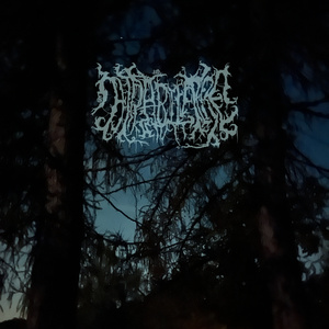 faceless nights