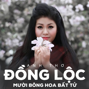 Chào Anh Giải Phóng Quân