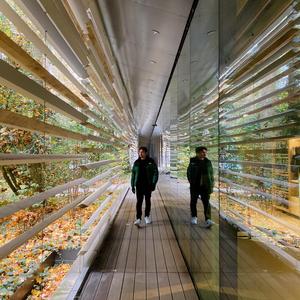 Kal El (feat. Al Berry)