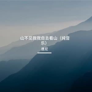山不见我我自去看山（纯音乐）
