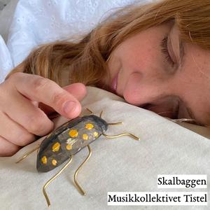 Skalbaggen