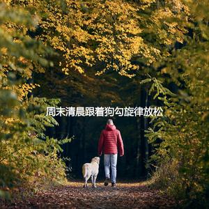 Stylish Ambiance for Morning Things