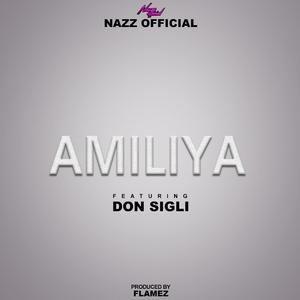 Amiliya (feat. Don Sigli)