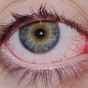 Недопетая демка