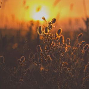 微妙的下班以后心情