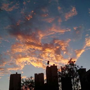 无常升熄 My Heart Will Go On（TripleZ Remix&Feat.的胺）