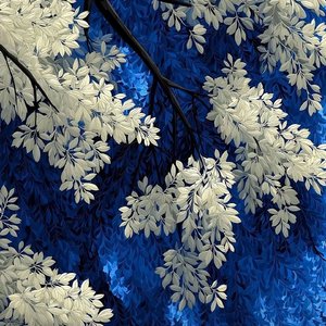 你好小姐_2.1环绕_20260426_034710_85a341e2.wav