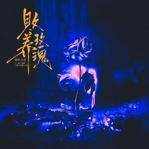 《败养玫瑰》-广播剧《败养玫瑰》ED